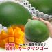  ключ tsu манго Okinawa манго большой шар Okinawa манго 600g~800g