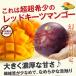  манго красный ключ tsu Okinawa ключ tsu манго красный Okinawa манго 700g~1kg