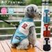  dog clothes winter clothes down manner jacket coat jumper the best stylish lovely small size dog protection against cold soft warm .. reverse side boa reverse side nappy dog for dog 