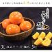  Aizu .... хурма 3L и больше (9~11 штук входит )3kg Fukushima префектура Aizu . сосна город север . гора производство 