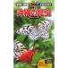  Okinawa. insect ( Gakken. illustrated reference book LIVE pocket special )