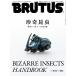 BRUTUS( blue tas) 2021 year 12 month 15 day number No.952.. insect 