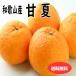 . лето мандарин .. лето ....10kg Wakayama производство бесплатная доставка 