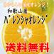 【送料無料】訳あり/バレンシアオレンジ 2.5kg　めずらしい国産オレンジです（和歌山産）
ITEMPRICE