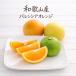  есть перевод барен автомобиль orange 5kg.. казаться местного производства orange Wakayama производство бесплатная доставка 