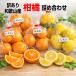 .. .. набор есть перевод 7kg и больше Wakayama производство 4 вид и больше .. комплект 
