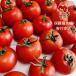 �؏��� ��1.2kg �ی�L�x�� ��t�� �~�f�B�g�}�g �z�̃��r�[ ���䌧�Y ���Y�Ҏw�� �Y�� ���S���e�N�e�N�Z���N�V���� �N�[���①�� �{�B�E�l���͑�������