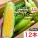 [ Kyushu производство A товар 1 2 шт ] кукуруза 1 2 шт прохладный рейс рассылка ... прекрасный тест .. сладкий кукуруза кукуруза 