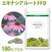eki нет a корень FFD eko упаковка 180 Capsule входить * трава дополнение поллиноз эхинацея Nora корпорация ekrektik изучение место 