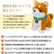 �y�|�C���g10�{�E500�~OFF�N�[�|���z ����ɂ������I ���΂��ʃR�E�^ �o���_�i�t�Z�b�g ������ׂ� �ʂ������ ��� ��b���{�b�g �y�b�g ���� �y�b�g���{ �֘A�摜2