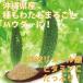 �S�[�� ���ꌧ�Y 100% �p�E�_�[ 70g �`  �S�[���� �S�[������ ���� �j�K�E�� �ɂ����� ��Z �܂邲�� �ۂ��� �� �@ �֘A�摜2
