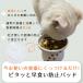  кошка . еда . предотвращение накладка кошка Chan . полный предотвращение здоровье техническое обслуживание .. возврат уменьшение установка простой присоска модель 