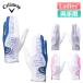  Callaway sheb двойной Golf перчатка Chev Dual Glove Women's 25 JM обе рука для женский 2025 год модели Callaway