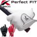 Kasco [ Kasco ] Perfect Fit Golf перчатка SR-2017 [ белый ]