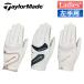  TaylorMade Inter Cross 3.0 перчатка одиночный левый рука для женский UN153 Golf перчатки 2024 год модели TaylorMade