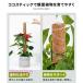 �R�R�X�e�B�b�N 3�{�Z�b�g �����X�e�� �x�� �ϗt�A�� ������� �v�����^�[ �A�ؔ� �A�� ���|�x�� �ϗt�x�� �K�[�f�j���O �R�R�X�e�B�b�N�x�� �֘A�摜1