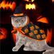  Halloween домашнее животное шляпа манто 2 позиций комплект для домашних животных манто Mahou Tsukai. манто кошка собака накидка маскарадный костюм костюмы Event 