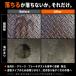 60�{ �u���[�L���p�[�c�N���[�i�[ 840mL ������ �t���g�pOK 30�{�~2�� ��� �E�� �������� �����Ԑ��� ������ �o�C�N �`�F�[�� �֘A�摜5