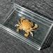  краб образец Moonlight do-matutaru Naris 4- образование для море . ракообразные интерьер подарок Acrylic crab 4-5cm