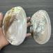  белый k Ram ракушка (Pecten spp.) гребешок раковина искусство Work pearl oyster 15-17cm