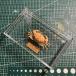  краб образец задний gorerubromaklata3- чёрный рамка-оправа кроме того, акрил кейс Crab body 3-4cm / acrylic box