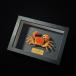  краб образец фоторамка покрой 3- интерьер украшение Crab body 3-4cm / black photo frame