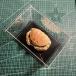  краб образец фоторамка конечный продукт 8- подлинный товар. краб производство коллекция интерьер украшение предмет 8-10cm crab acrylic