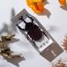  симуляция . насекомое образец resin производства оригинал размер украшение для интерьер жук-носорог рогач simulation 11cm-1