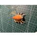  краб образец li Ray te незначительный * стерео nops macro potia* Lost lataporutunsLyreidus stenops