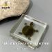  красный уголок черепаха. образец декортивный элемент resin производства 7.3cm размер для бытового использования интерьер украшение предмет 7.3cm7.3cm 1.8cm