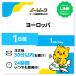 衼å ꥢ ե ڥ ꥹ UK eSIM SIM 1 1/1GB ǡ̿ ץڥSIM !SIM