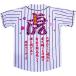 2006・2007ユニ+迫力の縞虎+桜+応援歌刺繍セット(送料無料)阪神タイガース  ユニフォーム刺繍
