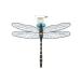  Sunline MSY......11cm