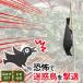 ���悯 �Q���΍�O�b�Y �R���K���X �u���b�N EG-18 �b �J���X �� �h�� ���� �� �n�g �� �X�Y�� �S�~�u���� �ʎ��� �ʕ� ��� ����