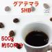 �������� �������� �O�A�e�}�� SHB 500g ���̂܂ܔ��� 200g�~2�� 100g�~1�� �R�[�q�[�� �R�[�q�[ ���� �V�N �A�C�X�R�[�q�[  ���� �A�C�X ���荂�� ���蓤