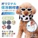 �N�[���l�b�N �� �o���_�i �y�b�g �l�b�N�N�[���[ C�^�C�v �N�[�������O �Ђ��� �����΍� ������� �J�o�[ �M���� ���^�� ���^�� ��^�� ���킢��