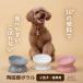 �t�[�h�{�E�� ���p �H�� �y�b�g�H�� �a���� �G�T���� �a�M ���юM �H��� ���� ������ �f���߂��h�~ ����~�� �L�p �f���߂��h�~ ������� ����