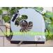 ���� DELL XPS 15Z HEATSINK COOLING 0PC5GP �ե���