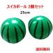  free shipping beach ball watermelon ball playing in water 25cm 2 piece set pool sea water . playing in water 