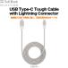  outlet SoftBank SELECTION USB Type-C Tough Cable with Lightning Connector / silver 