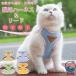 �L �n�[�l�X �����Ȃ� ���� ���[�h �_�u�����b�N ���b�V���L�n�[�l�X �L�p �l�R �L���b�g �˂� ���^�� ���킢�� ���o���� ������� �U�� �O�o �ʉ@ �ЊQ ��� ��