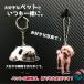 �y�b�g �ʐ^ �t�H�g�L�[�z���_�[ ���̓� �������A���O�b�Y �� �L �A�N���� �L�O�i �v���[���g �I�[�_�[ ��������̂��ʐ^�ł� �X�g���b�v �M�t�g