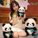  Panda мягкая игрушка симпатичный часть магазин украшение ребенок мужчина девочка подарок день рождения подарок Dakimakura .. серия нежный мягкий подарок 