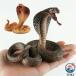  Cobra. игрушка . Halloween баловство ...... живое существо фигурка шутки муляж биология живое существо. изучение наука учеба для украшение игрушка животное животное do