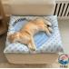  домашнее животное .... коврик домашнее животное bed . чувство кошка собака домашнее животное простыня многоцелевой домашнее животное тепловая защита летний охлаждающий коврик прохладный коврик охлаждающий лежать на полу ma