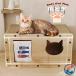  кошка коготь точить ржавчина house домик для кошек коготь .. кошка коготь точить кошка. коготь точить кошка сборка простой кошка домашнее животное bed картон .. дом 8 поверхность кошка окно 