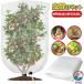 ���悯�J�o�[ �ƒ�؉� �h���l�b�g �A���ی�J�o�[ 2 ������ �K�[�f�j���O�l�b�g �h�����΍� �ʕ��ʎ� ��؍͔|�K�p �t�@�X�i�[�t�� �В��� ���|�l�b�g �ʋC��
