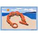 2022 year spring summer HERMES Hermes beach mat beach towel Escale a La Plage shell / sable cotton 100% towel new goods unused 