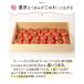�y�H��\���t�� / 2026�N11���`12�����������z�g�}�g ��1kg �H��̂ꂽ�� �_�ƒ��� �̂ꂽ�� �������� ���܂��t�� �v���[���g �����Y�g�}�g ���_�t�@�[�� ���� �֘A�摜5