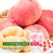  peach Fukushima prefecture production . on peach. . Fukushima prefecture mulberry . block date fruits .. Special preeminence goods approximately 2.5kg 7~9 sphere 